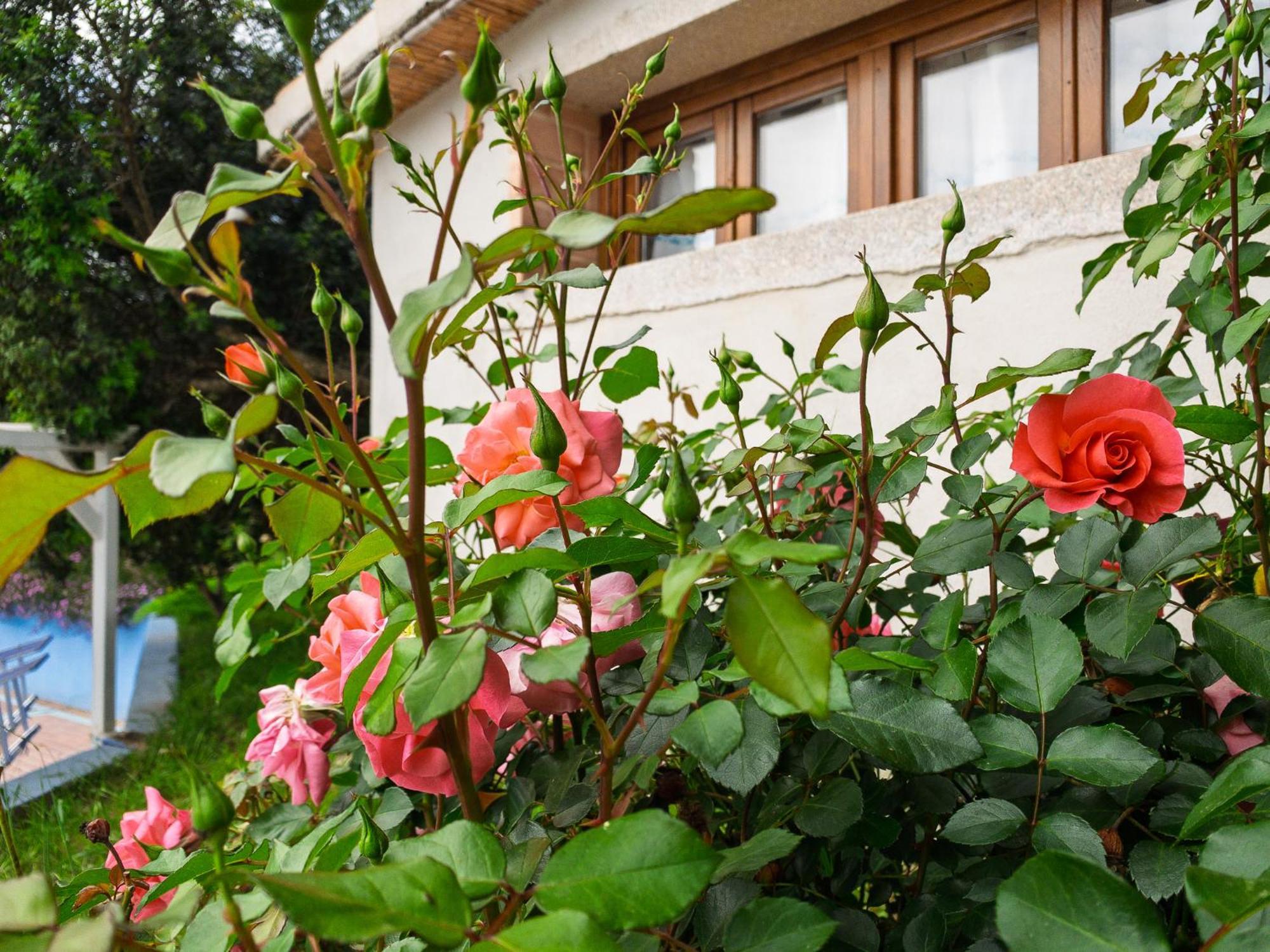 Agriturismo Guparza Posada  Zewnętrze zdjęcie